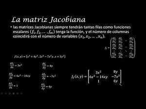 The Jacobian matrix or Jacobian