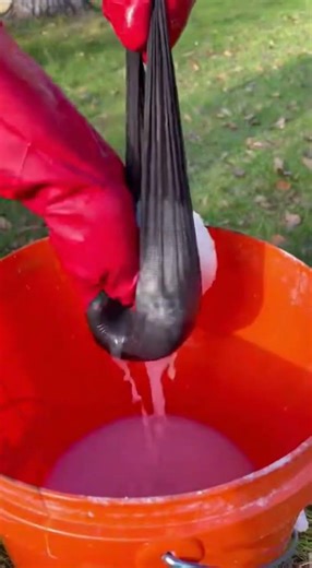 Village Engineering! Tree Protection Lime Save Trees Easily #TreeCare #EcoFriendly #GreenTech