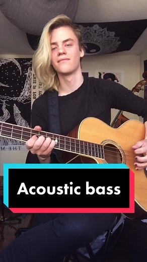 Exploring the Acoustic Bass Guitar Experience