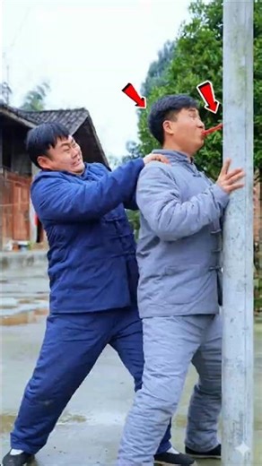 Building Wooden Log Cabin in Forest 🌲🤯 | Survival House Step by Step "7 #shorts #facts