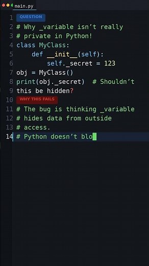 This Python Code Is Wrong: Why _variable isnt really private in Python!