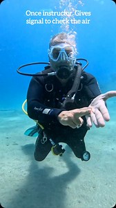 60 BAR – WHAT NOW? Every diver hits it. Not every diver knows what to do. When your gauge reads 60 bar, do you panic… or do you execute? At Camel Dive Club & Hotel, our divers are briefed, trained, and prepared—because diving safely is what lets you keep diving for life. Here’s what our guides teach you: ✔️ Signal your buddy ✔️ Begin your ascent ✔️ Make a controlled, safe safety stop ✔️ Finish the dive like a pro Not just diving—diving smart. ⸻ APRIL & AUGUST DIVE DEALS – NOW ON! ✅ 5 Days Diving