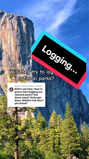 Exploring Logging Concerns in Yosemite National Park