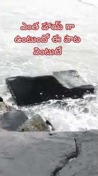 పొడిచేరీ బీచ్ #trending #melody #evergreenhits #balayya #pondicherry