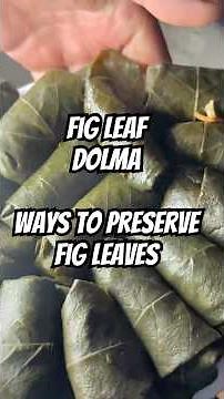 How to eat fig leaves 🍁 🌱 #figleaves #figs #recipeshorts #dolma #turkishfood #fermentedfood
