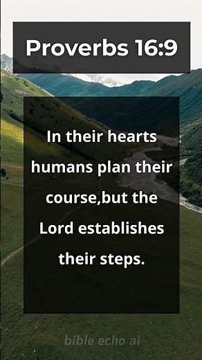 Let God Lead Your Steps 🕊 Proverbs 16:9