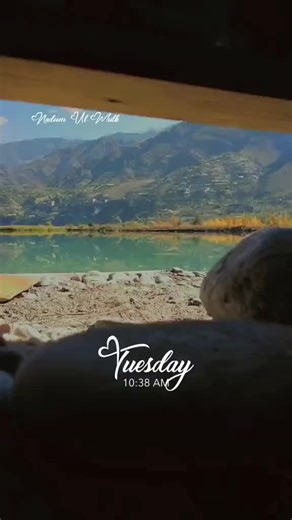 #onthisday #gadwall #mallards #pintail #redhead #pochard #foryoupage #usiak #drosh #village #usiak