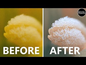 TOPAZ PHOTO AI finally delivers!