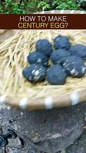 546_Let me show u how to make century egg, an egg of mystery, last for 1000 years, never goes bad #tiktokfood #chinesefood | Food Recipes