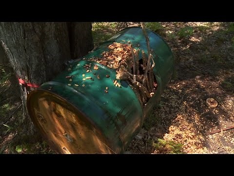 Bear Bait Found Too Close to Occupied Dwelling