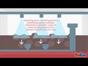Bioleaching