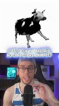 Animal facts you didn't know 😱 #shorts