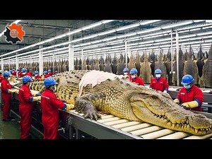 Inside the Alligator-Leather Factory: From Alligator Skin to Luxury Bag (Full Process)