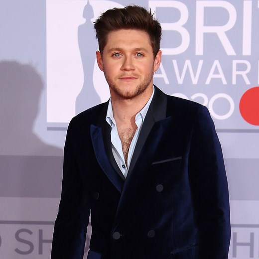 Niall Horan Recalls Feeling "Like a Prisoner" Amid One Direction Mania
