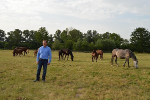 À Lesdins, le centre équestre continue d’attirer les cavaliers