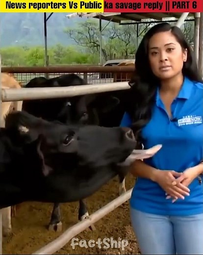 News reporters V/s Public savage Reply || PART 6 #newsbloopers #fails #shorts