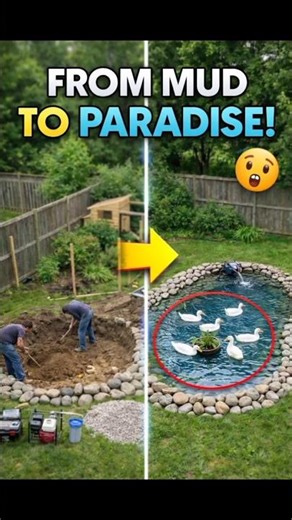 Amazing Duck Pond Transformation 😱 | From Mud to Paradise #shorts #transformation