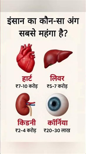 इंसान का कौन-सा अंग सबसे 😱 महंगा है? | Human Body Parts Price Explained. #shorts #gk