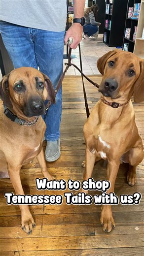 Shop with us at Tennessee Tails Pet Boutique! | Tennessee Tails Pet Boutique