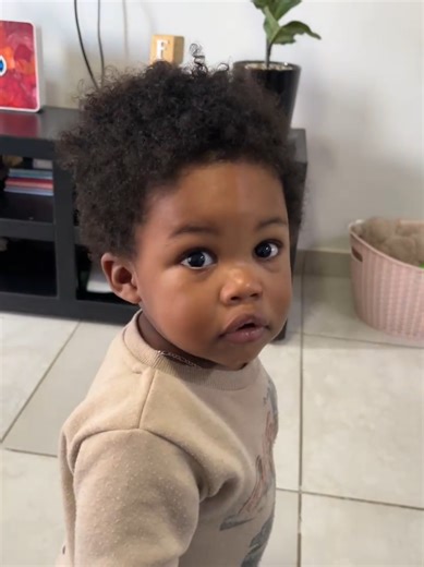 Zulu vs Spanish Cartoons: A Cultural Perspective