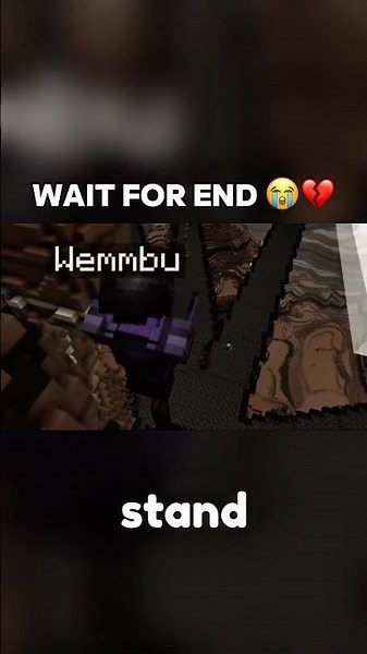 Can’t Believe That This Is The Same Person… 😭 #wemmbu #unstablesmp #unstableuniverse #edit