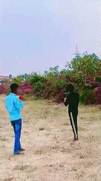 Allah Waariyan || Udte Patango Mein Holi Wale Rango Mein || Full Screen Status || @loveiscute9075