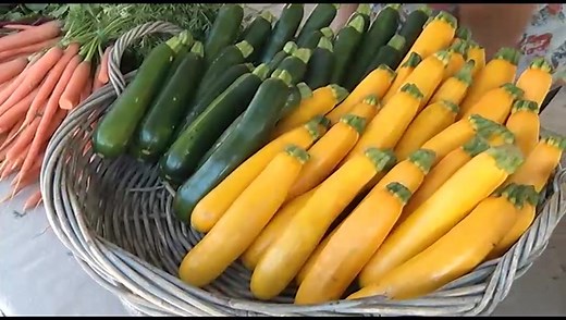 Buyer beware with organic food labeling