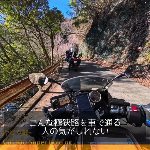 奥多摩、相模湖、津久井湖、宮ヶ瀬湖と南下してきてヤビツ峠へ。