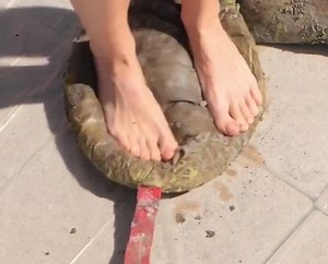 Dirt Be Gone: Epic Deep Clean Challenge! | 5-Minute Recycle