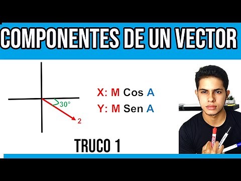 How to Decompose a Vector TRICK 1