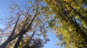 NO PLOU I FA SOL!!!☀️☀️☀️☀️ A les 11:30h ens trobem a Arbúcies al Cassònia un festival moooolt bonic amb activitats durant tot el dia! 2 euros l'entrada! Us hi esperem! | EL POT PETIT