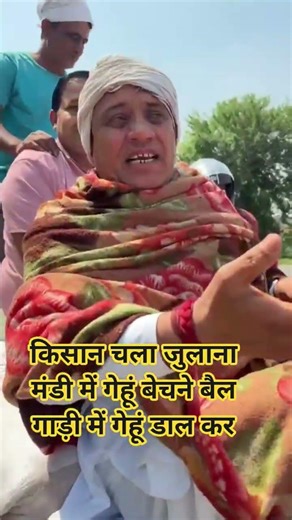 किसान बोला मेरे पास टैक्टर नहीं इसलिए मैं अपनी बैल गाड़ी में गेहूं डाल कर जुलाना मंडी में जा रहा हु