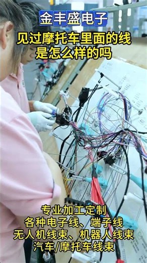 Have you ever seen what the wiring inside a motorcycle looks like?