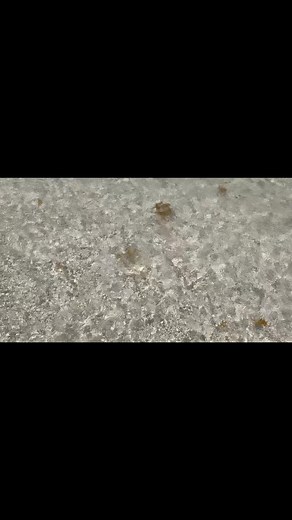 Miami Beach, Florida #vacation2025 #miami #vacationvibes #florida #travel #miamibeach #beachvibes #usa | Propin’s Page