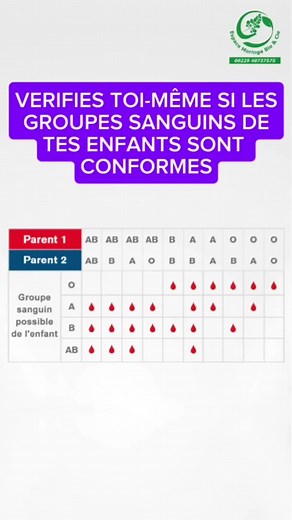 Comprendre les groupes sanguins des enfants