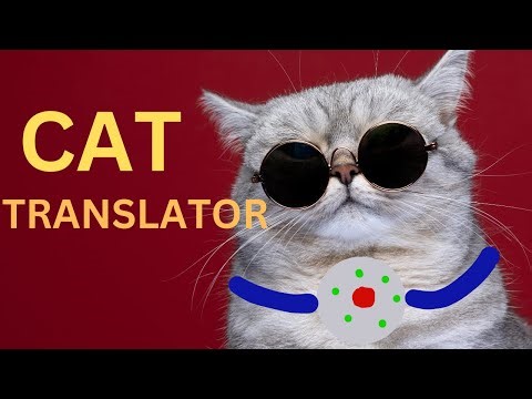 (Incredible) Cat tech: The Future of Feline Gadgets! | Feline Gadgets of the FUTURE Are Here Now!