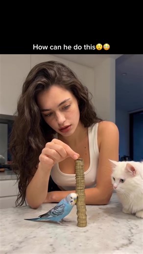 Exploring the 31 Evermore Lagoon Pool in Orlando