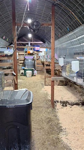 You Asked So here it is. The new hanging cage set up at Bella Rose Rabbitry. | Bella Rose Rabbitry