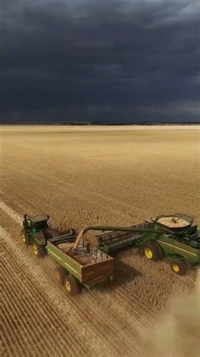 Modern Farming at Its Best#ModernFarming #Agriculture#HarvestTime #FarmLife#ViralShorts