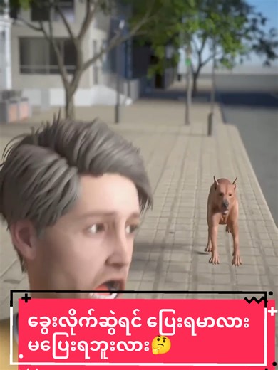 Part (12) ခွေးလိုက်ကိုက်ရင် ပြေးသင့်လား မပြေးသင့်ဘူးလား ဆိုတာ vidoe လေးကို ကြည့်လိုက်ကြရအောင်🥰#creatorsearchinsights #recapMM #foryou #animals #knowledge