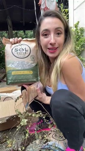 SOL Soils Plant Care | Healthy Roots & Faster Growth?