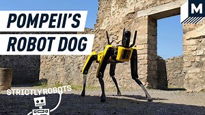115K views · 2.1K reactions | The nearly 2,000-year-old remains of the city of Pompeii now has a robot guard dog. Boston Dynamics’ Spot is patrolling the ancient ruins to keep an eye out for grave robbers and relic hunters all while gathering data for useful studies. | Mashable | Facebook