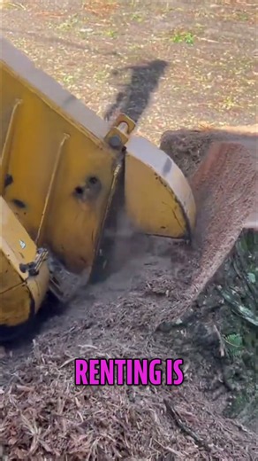 Renting vs. DIY Stump Removal Costs #shorts