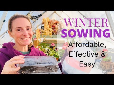 How to Winter Sow Seeds in Upcycled Containers | Easy, Hands-Off Gardening for Beginners