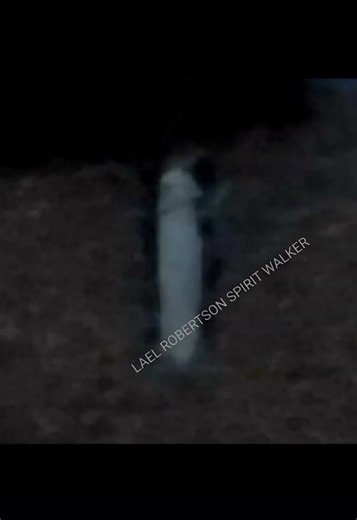 THATS #SCARY/ENITIY FROM ANOTHER DIMENSION #weirdness/DEFINITELY NOT A FENCE POLE/ ONLY ONE 👀