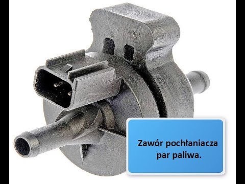 Fuel Vapor Canister Valve