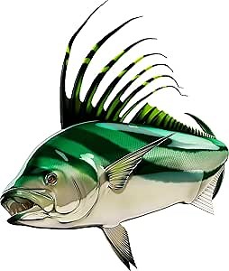 Rooster Fish Beautiful Fish Decal | Fishing Decal for Boat, Car, Vehicle, Truck Etc. | Waterproof Vinyl Sticker | Many Sizes & Styles Available | 12" to 40" by Digital Fish Art (Large, Position 1R)