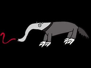 True TBOM-Styled Giant Anteater Sounds