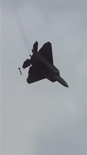 USAF F-22 Raptor Intense Close Maneuver #aviation #stealth #simulation