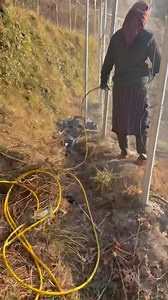 3.5K reactions · 20 shares | Tree spray oil (TSO) #spray #apple #plants | Shilpa Thakur | Facebook